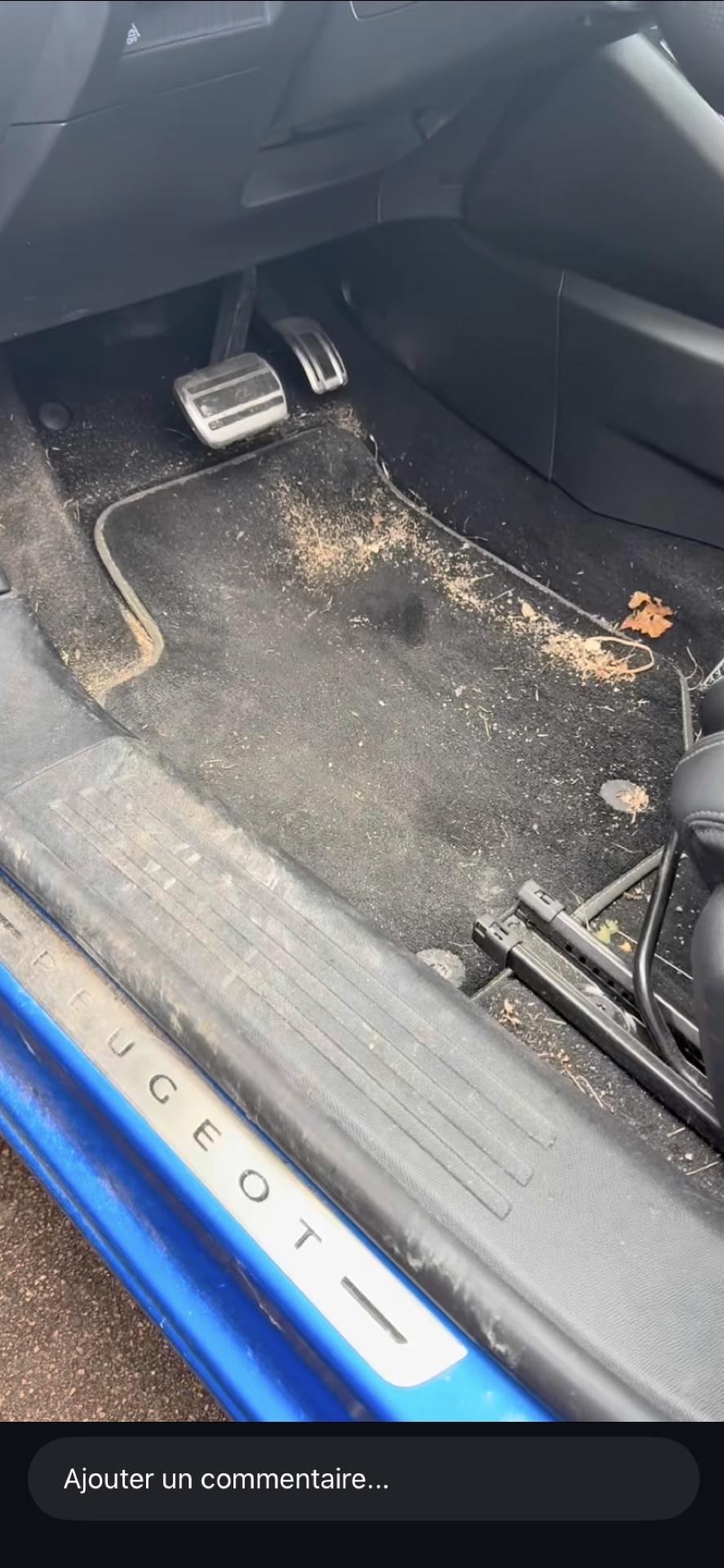 Intérieur avant nettoyage SWDTAIL